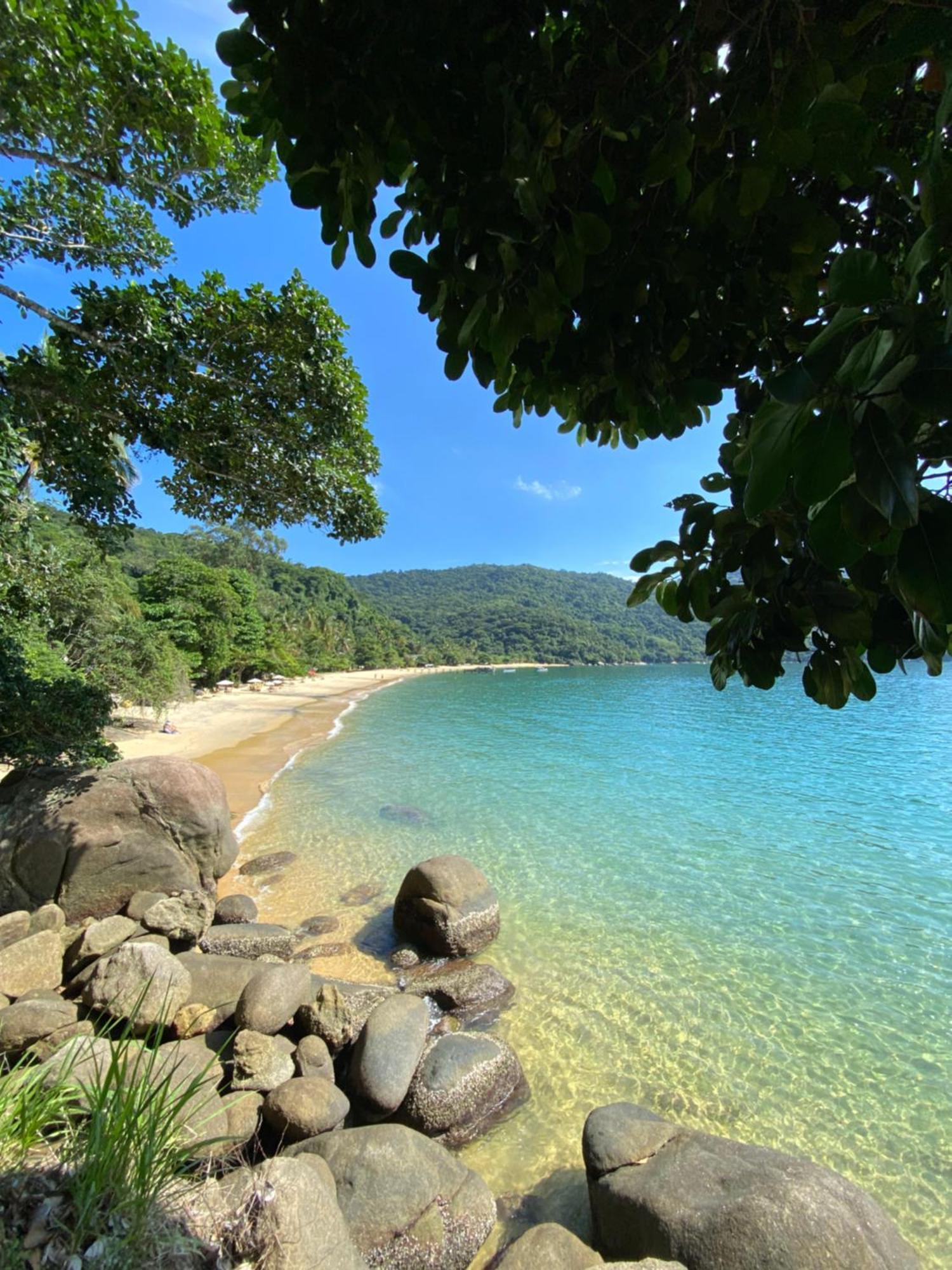 • Palmas • à Beira-mar - Ilha Grande Rj®